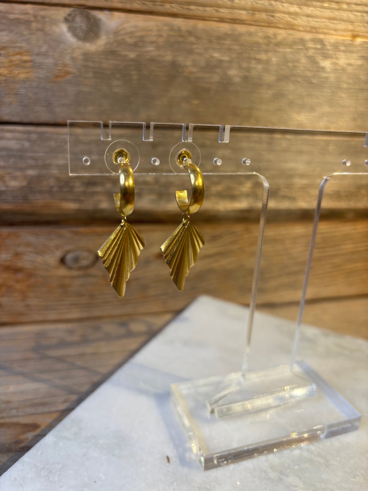 Earrings